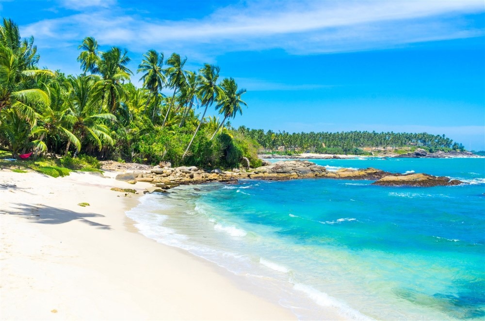 Exhibitors from island territories participating at ATM this year include the