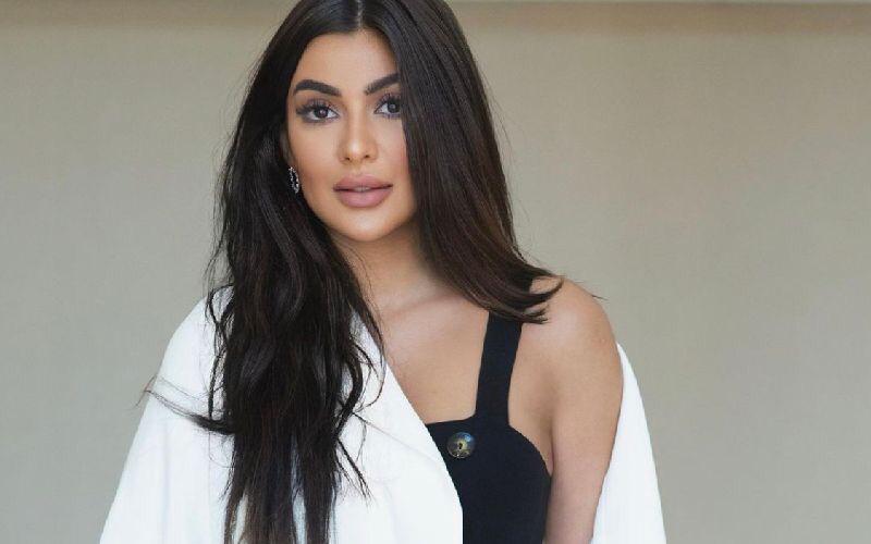 زينة لؤي: سعدت بانطباع جمهور مسلسل "60 يوم في الماضي"