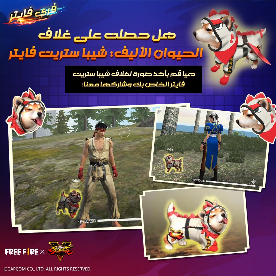 Pet Skin: SF Shiba