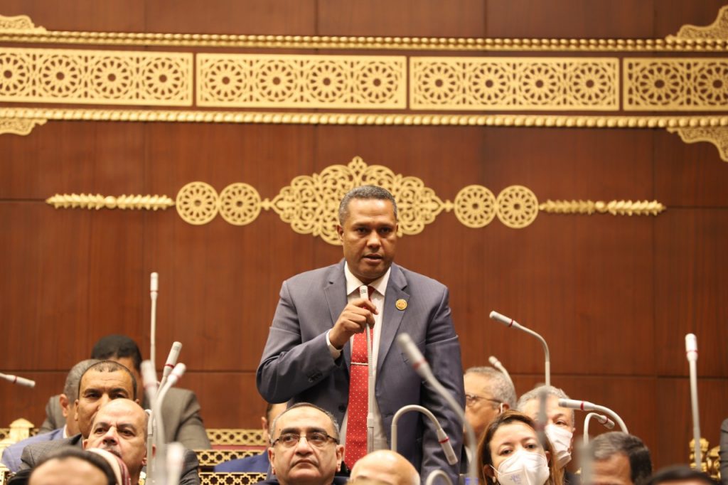 النائب محمد حمزه امام الجلسة العامة لمجلس الشيوخ