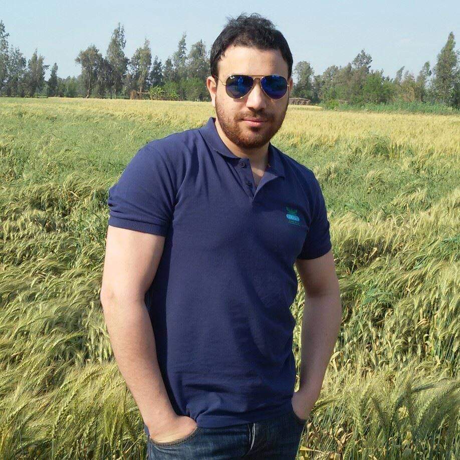 عمرو متولى يحتفل بتوقيع "في عشق النجوم" الأحد المقبل
