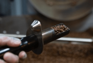 Cypher Urban Roastery