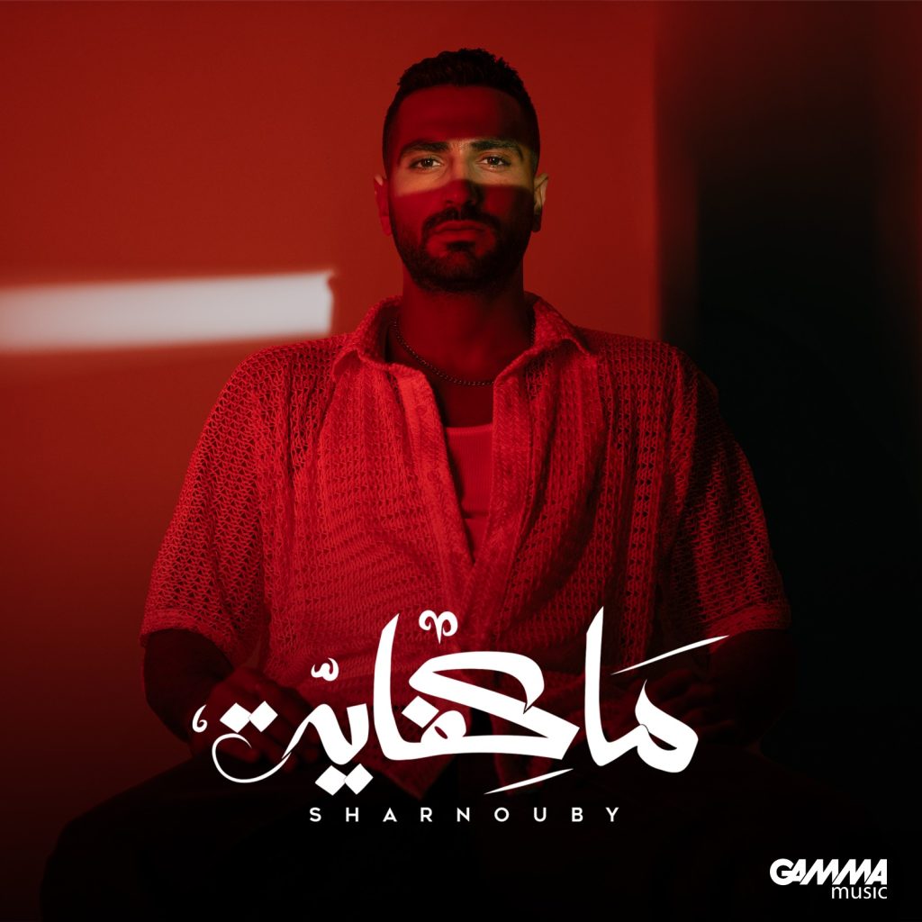 محمد الشرنوبى 