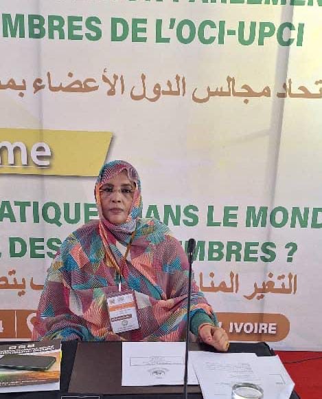 النائبة اليخير سيد مختار
