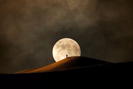 الحكمة والحكيم