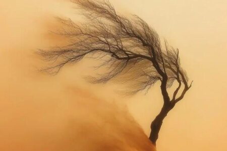 الجسد هو وعاء الروح