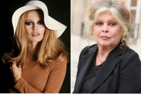 وفاة أسطورة السينما الفرنسية بريجيت باردو عن عمر 91 عاما