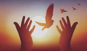 طوبى لصانعي السلام